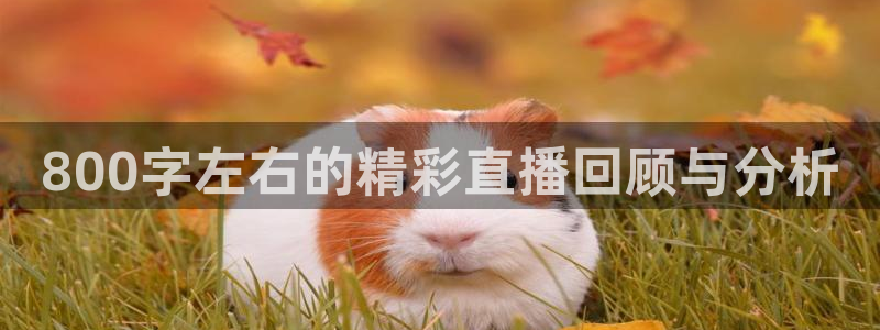 体育新闻