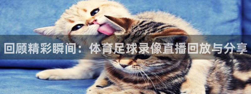 体育新闻
