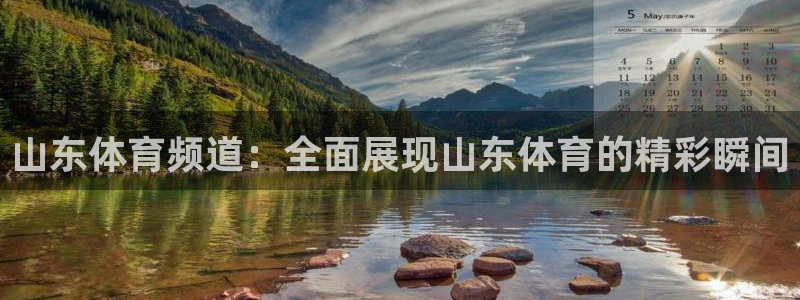 体育新闻