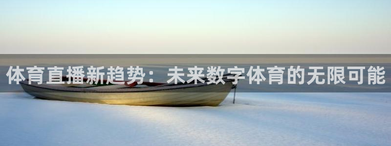 nba无插件飞速直播