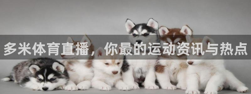体育新闻