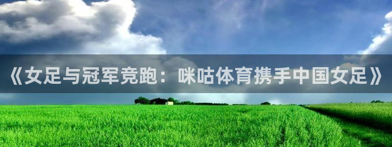 飞速直播在线观看