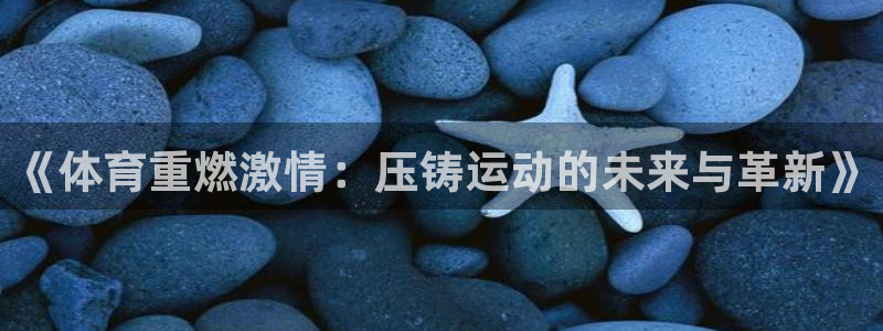 体育新闻